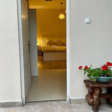 Airport Alexandra Appartement Surčin