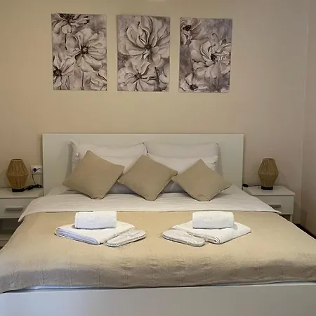 Airport Alexandra Surcin