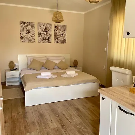 Apartment Airport Alexandra Surcin